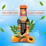 BARE NATURE Vitamin Iced Tea - Peach